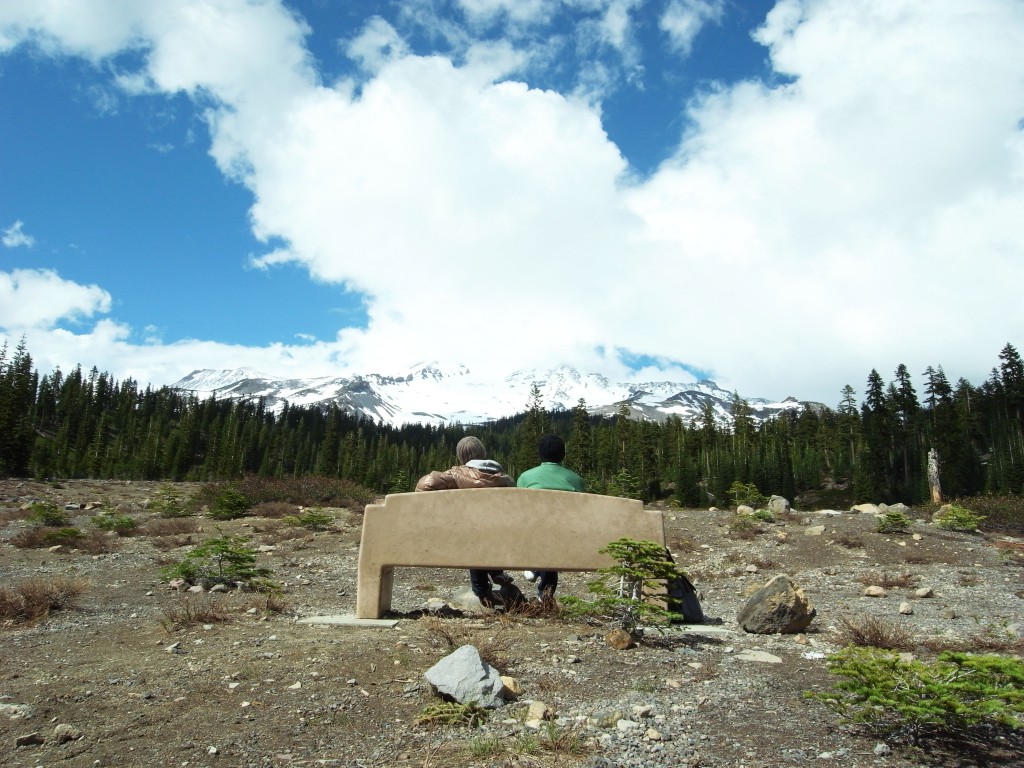 In front of Mt. Shasta